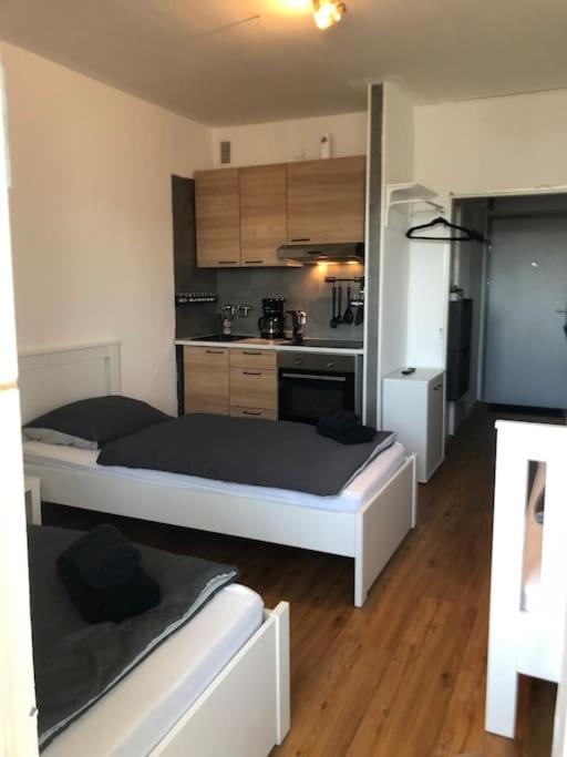 Zentrales Studio-apartment In Linz, Arbeiter-hit Apartment *